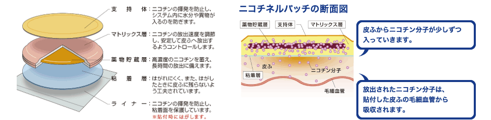 ニコチン パッチ