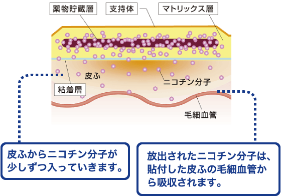 パッチ ニコチン 禁煙補助薬～ニコチンガムとニコチンパッチとバレニクリン