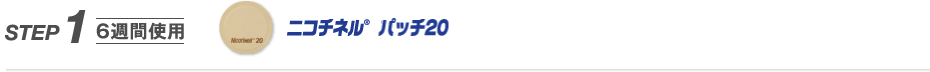 STEP1 6週間使用 ニコチネル パッチ20